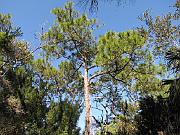 St. Augustine - Jan 2012 119